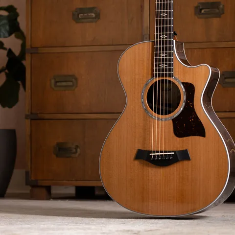 2024年の新アコースティックギター | Taylor Guitars